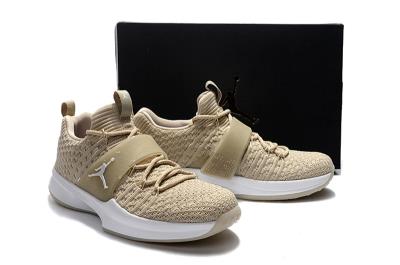 cheap air jordan trainer 2 flyknit cheap no. 21